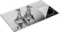 Chefcare Inductie Beschermer Twee Giraffes in het Veld - Zwart Wit - 95x55 cm