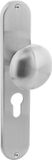 Intersteel Knop Paddenstoel op schild profielcilindergat 55 mm rvs geborsteld