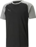 Puma Team Cup Casuals T-Shirt Heren - Zwart