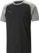 Puma Team Cup Casuals T-Shirt Heren - Zwart