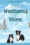 A Libri GmbH A Guide to Weathering a Storm