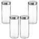 WELL HOME MOBILIARIO & DECORACIÓN Set van 4 voorraaddozen van glas + roestvrij staal, 2 l, 2000 ml