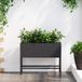Maison Exclusive - Jardinière surélevée pour jardin, noir, 60 x 26 x 45 cm, acier