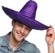 Boland Sombrero Puebla paars Volwassenen Unisex Landen