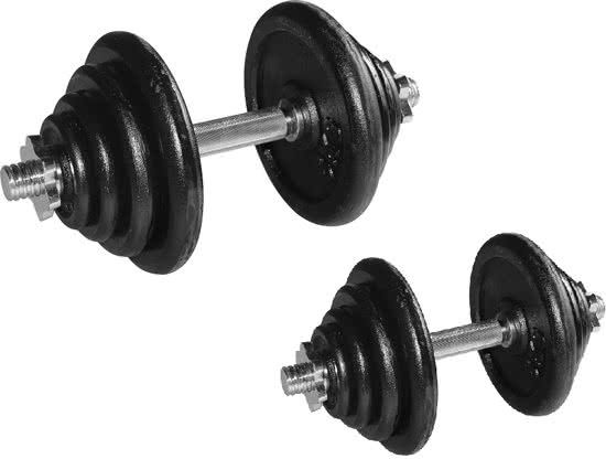 RS Sports Dumbellset - Halterset gietijzer - Totaal 40 kg - 2 stuks - zwart / zilver