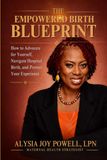The Birth Blueprint: How to Advocate for Yourself, Navigate the Hospital System, and Protect Your Birth Experience