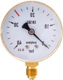 Merkloos / Sans marque Manometer Gas - Druk meter - Technische Gassen Meten - EU Vervaardigd - 0-40 bar - Zilver
