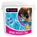 EUROPALAMP Pastilles de brome 5kg 20gr