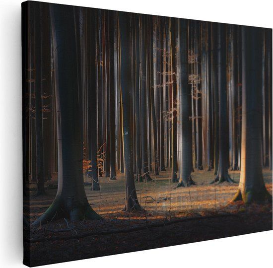 Artaza Canvas Schilderij Groep Bomen in een Bos - 80x60 cm - Canvas Print
