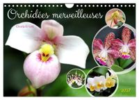 Orchidées Calvendo Orchidées merveilleuses (Calendrier mural 2027 DIN A4 vertical), CALVENDO calendrier mensuel