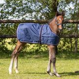 E essentials QHP Veulendeken turnout 100gr Navy - 80 - Regendeken