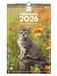 Finocam Wandkalender 2026, 25 x 40 cm, maandoverzicht januari - december 2026 + sep. - december 2025 (4 maanden), kalender 2026, kattenfoto's - Spaans