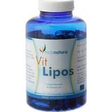Infutisa Ginkgo Biloba 25filtres