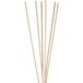 LINARI Diffusers Natural Evaporating Sticks Set - Fragrance Sticks & Room Sprays