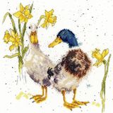 Bothy Threads Hannah Dale Ducks And Daffs borduren (pakket)
