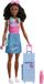 Barbie Brooklyn Doll & Accessories