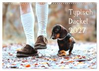 Calvendo Typisch Dackel 2027 (Wandkalender 2027 DIN A3 quer)