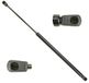 TarosTrade 229-0505-N-74692 gasveer voor achterklep