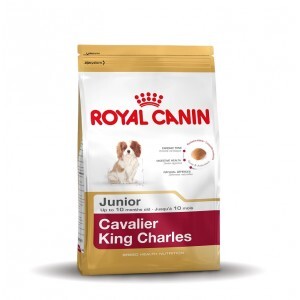 Royal Canin Breed Junior Cavalier King Charles hondenvoer 1