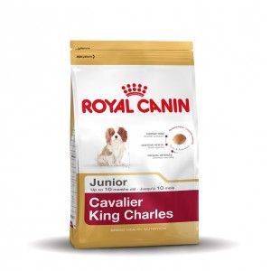 Royal Canin Breed Junior Cavalier King Charles hondenvoer 1
