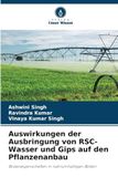 Auswirkungen der Ausbringung von RSC-Wasser und Gips auf den Pflanzenanbau: Bodeneigenschaften in natriumhaltigen Böden