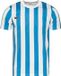 Nike Striped Division IV Shirt Korte Mouw Heren - Wit / Lichtblauw