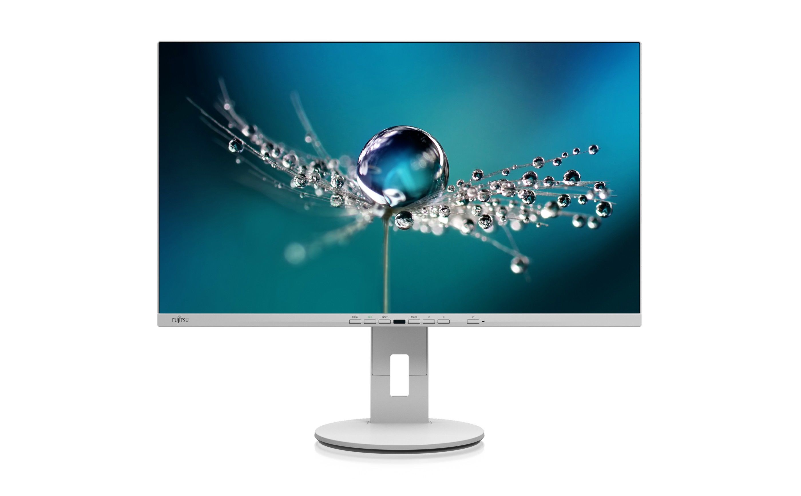 Fujitsu B2711 TE - 27" Full HD Monitor - IPS - Grey