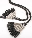 MUSIC STORE Studio Multicore/Eco 8/XLR-XLR 5m / XLR female > XLR male - Analoge multicore kabel