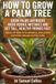 How to Grow a Palm Tree