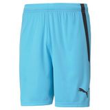Puma Teamliga Shorts voor volwassenen, blauw Atoll-Bla, XS