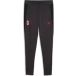 PUMA AC Milan trainingsbroek, Grijs, Maat 5-6Y