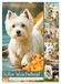Süßer Calvendo Süßer Wuschelkopf. West Highland White Terrier Momente (Wandkalender 2027 DIN A2 hoch), CALVENDO Monatskalender