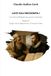 LUCE SULL'INCOGNITA I: Una storia dell’algebra per giovani volonterosi - Volume I