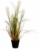 Mica Decorations Groen/bruine riet gras/pluimgras kunstplant 53 cm Siergras in zwarte plastic pot