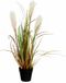 Mica Decorations Groen/bruine riet gras/pluimgras kunstplant 53 cm Siergras in zwarte plastic pot