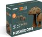 CARTONIC 3D-puzzelset – paddenstoelen – 3D-puzzel van karton – karton verandert in een figuur in reliëf – alle leeftijden – 183 stukjes Cardboard 3D Jigsaw puzzel