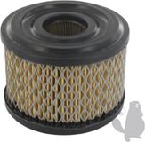 Greenstar BRIGGS & STRATTON Luchtfilter 390492, 496047