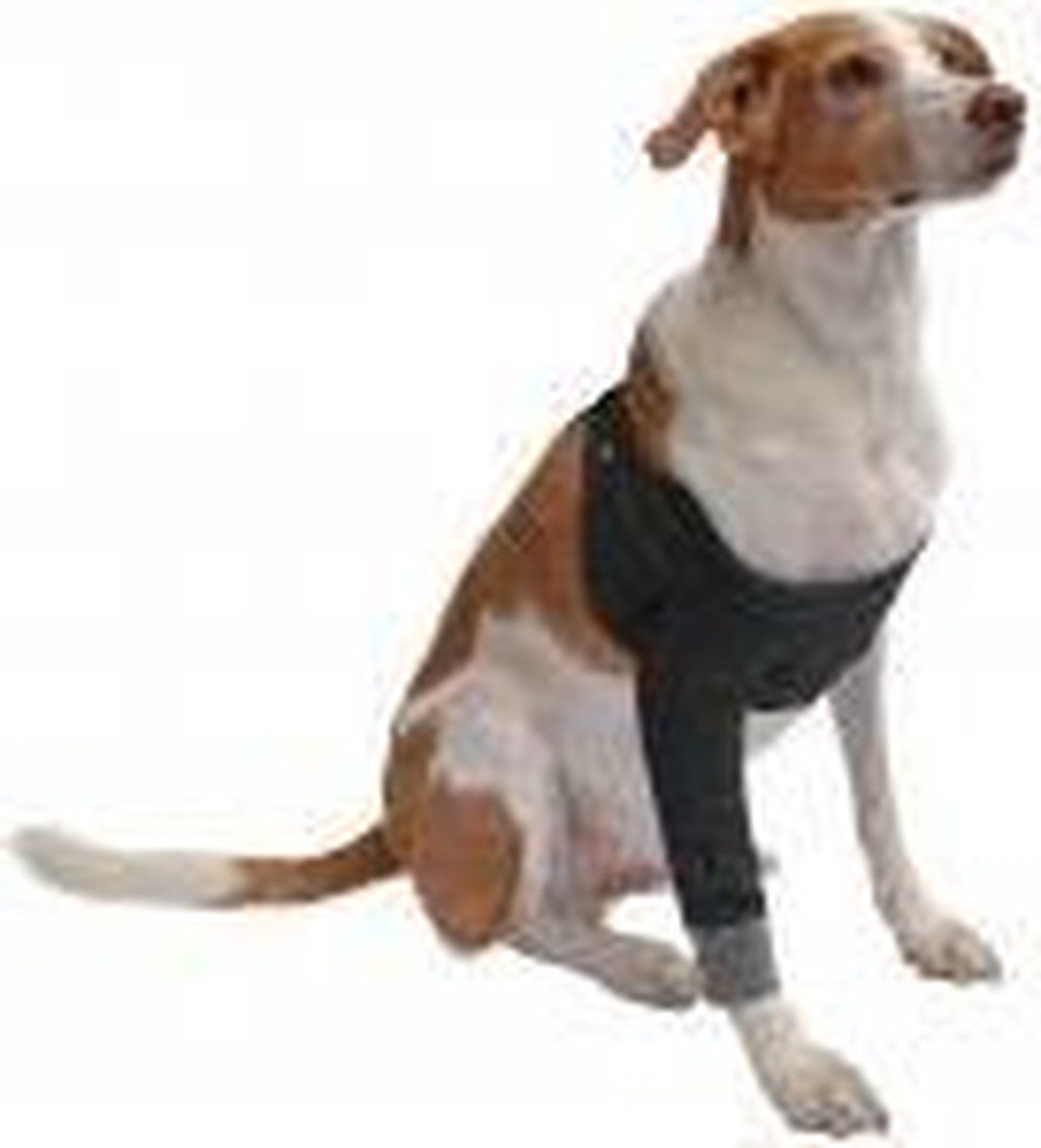 vetlando Voorpootbeschermer voor honden - Maat M: Borstomvang 54-66 cm, pootlengte 26 cm - donkergrijs