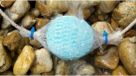Pond Zinger - Produit anti-algues filamenteuses pour un étang clair (jusqu'à 45 000 litres) - Floculant/Éliminateur de phosphates