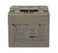 Victron Energy AGM 22Ah 12-Volt Deep Cycle Accu