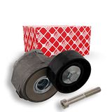 febi bilstein 30733 riemspanner voor V-ribriemen, met schroef, 1 stuk