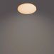 Philips Hue Philips Izso Plafonnière wit - 24W - met afstandsbediening
