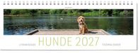 Tischkalender Ars Vivendi Tischkalender Hunde 2027