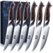 HOSHANHO Steakmessen, set van 6 stuks, ultrascherp, 11,5 cm, gekartelde tafelmessen, Japanse bijstemes AUS-10 van koolstofstaal met ergonomische handgreep