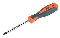 Alyco Oranje (HR) - Torx-schroevendraaier T15 x 100 mm - 170441