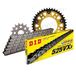 Kettingset DID Kettingset Stealth 525VX3 / 106 klinknagel slot goud voor Aprilia RSV Tuono R Mille 1000 cc Bj. 2004-2011