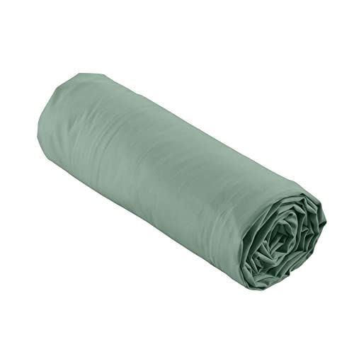 douceur L3C SI Drap Housse Percale - Bonnet 30 Cm - Beige - Polyester - 180x200 cm