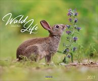 WaldLife Korsch Verlag WaldLife 2027