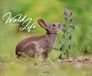 WaldLife Korsch Verlag WaldLife 2027