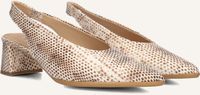 Notre-V 41903 Hakken Dames - Beige - Maat 38